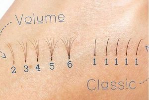 14054920_1645365539112659_5873977767061480764_n